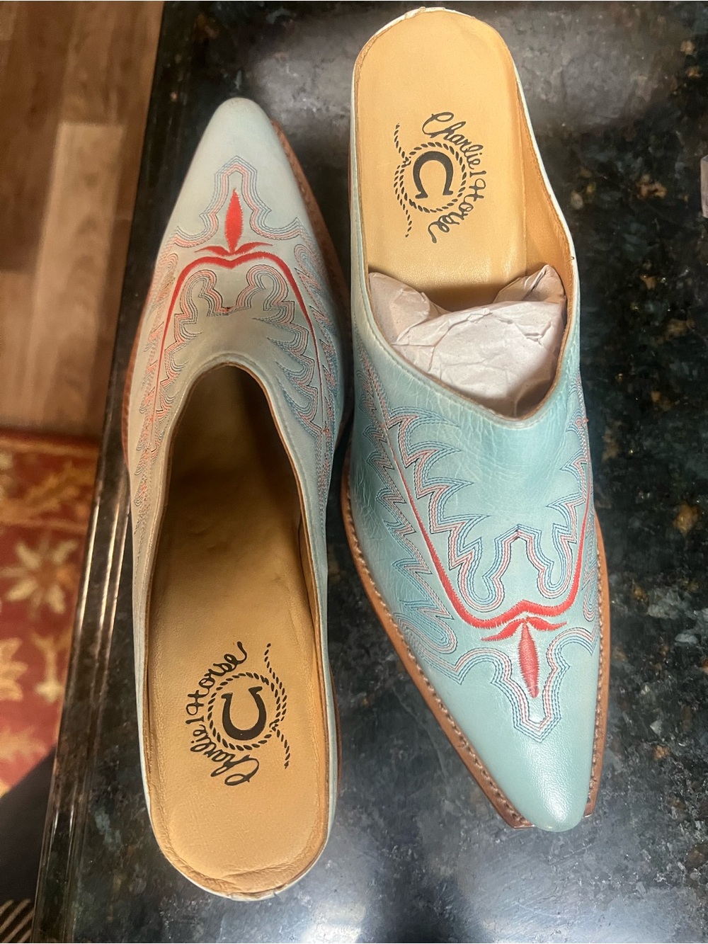 Handcrafted Teal Leather Pointed Mule with Red Embroidery